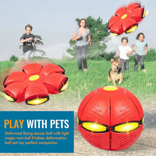 Why Frisbee Ball Toy For Your Dog & Kids ??