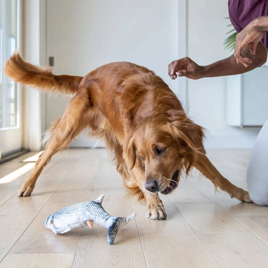 Why Flopping Fish Dog Toy Is The Evergreen Dog Toy ??