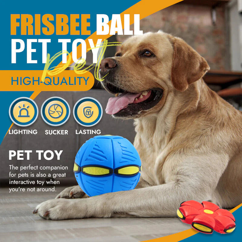 Frisbee ball hot sale toy