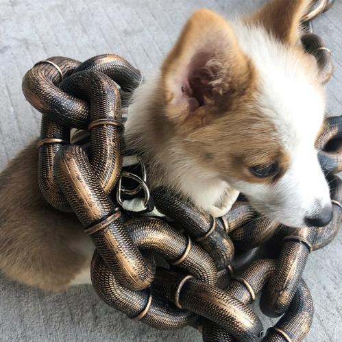 BeastChain Simulated Metal Chain Dog leash