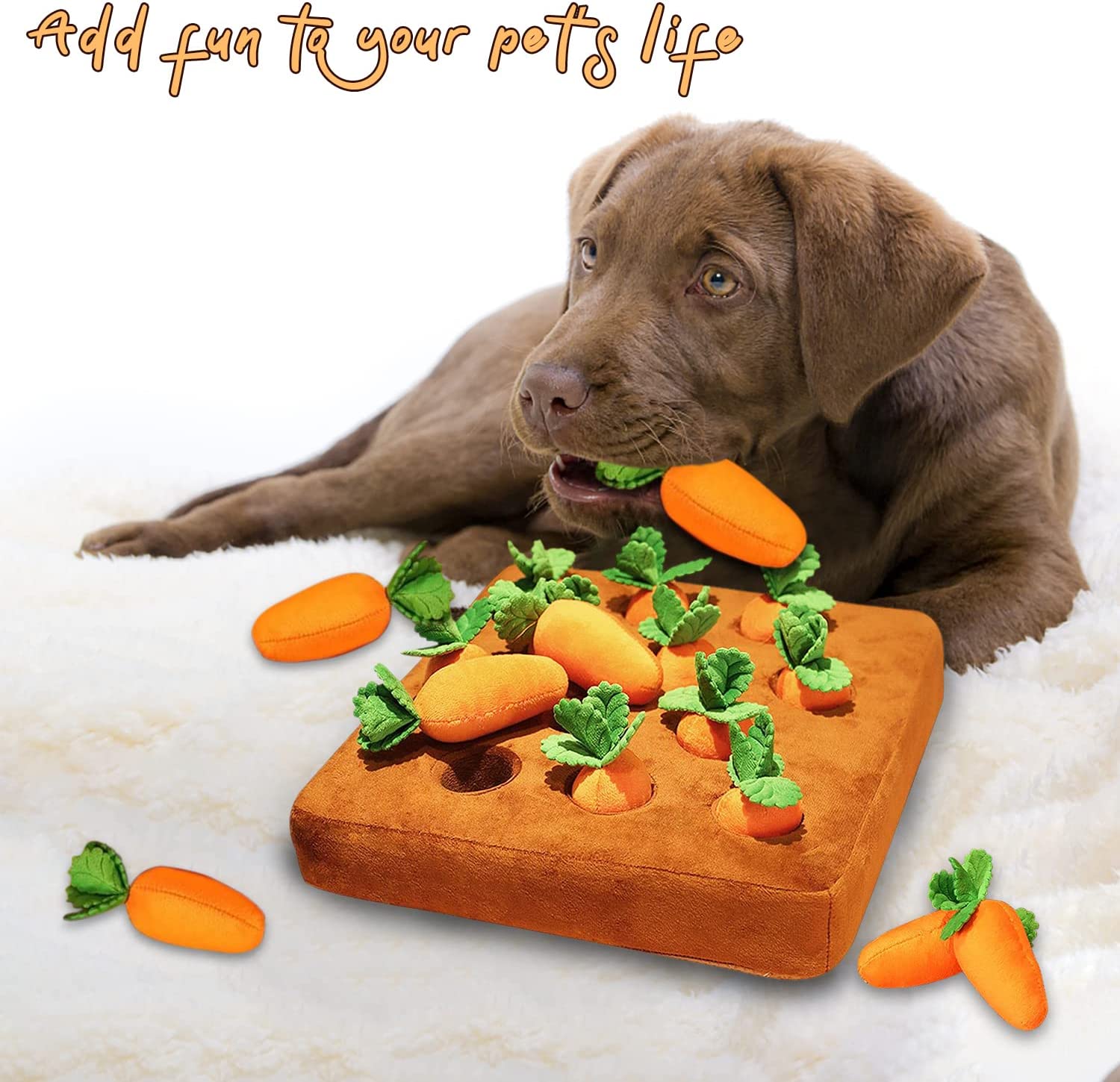 Carrot Farm Dog Toys Including 12 Carrots - Dog Puzzle Toys, Plush Carrot  Dog Toys, Dog Chewing Toys for Small Dog Puppy, Pet Plush Training Toys,  Dog