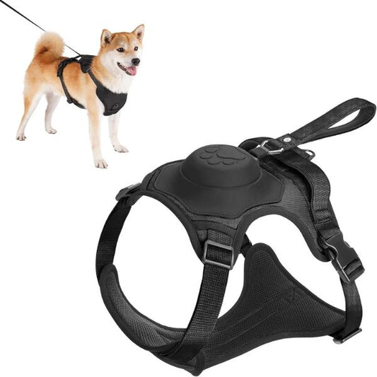 Bungee Cord Dog Leash Harness