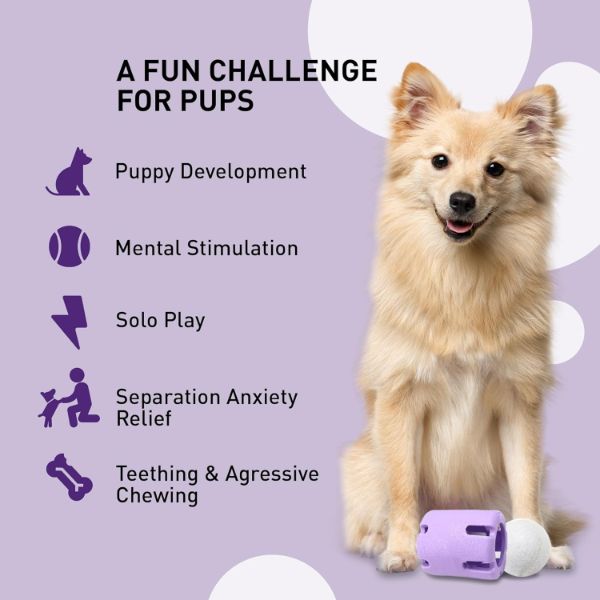 Tennis Tumble Puzzle Dog Toy – Barkermeow