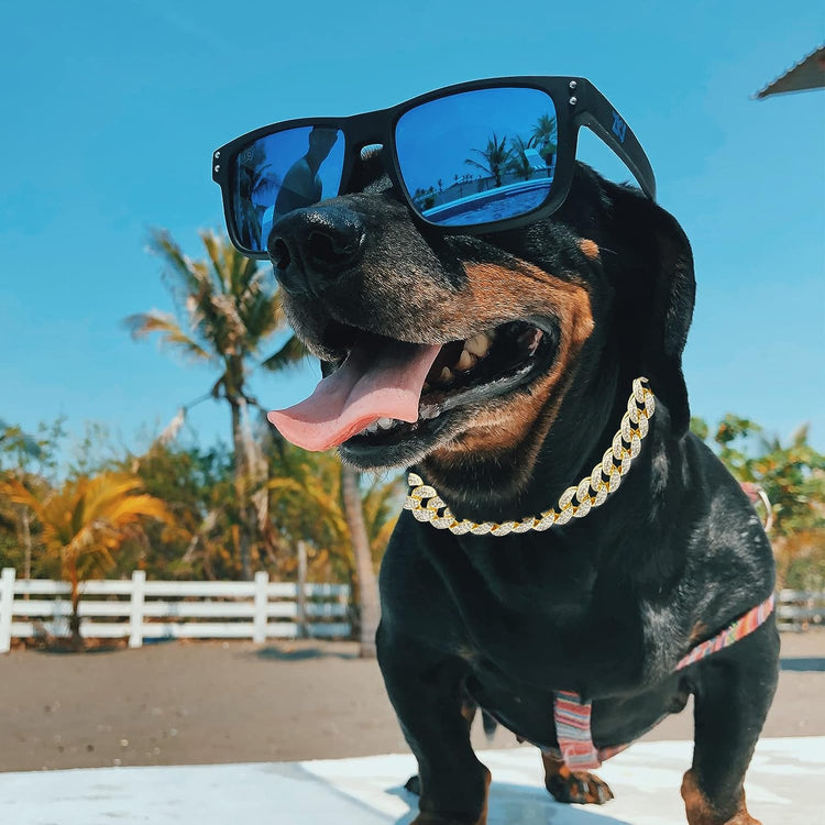 Cuban Link Gold Dog Chain – Barkermeow