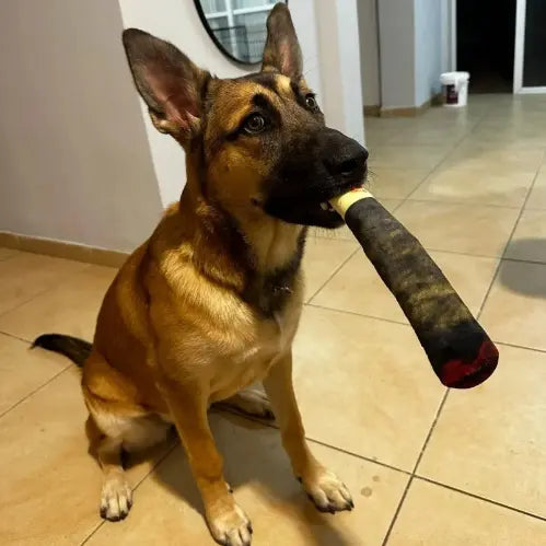 Cigar Plush Dog Toy