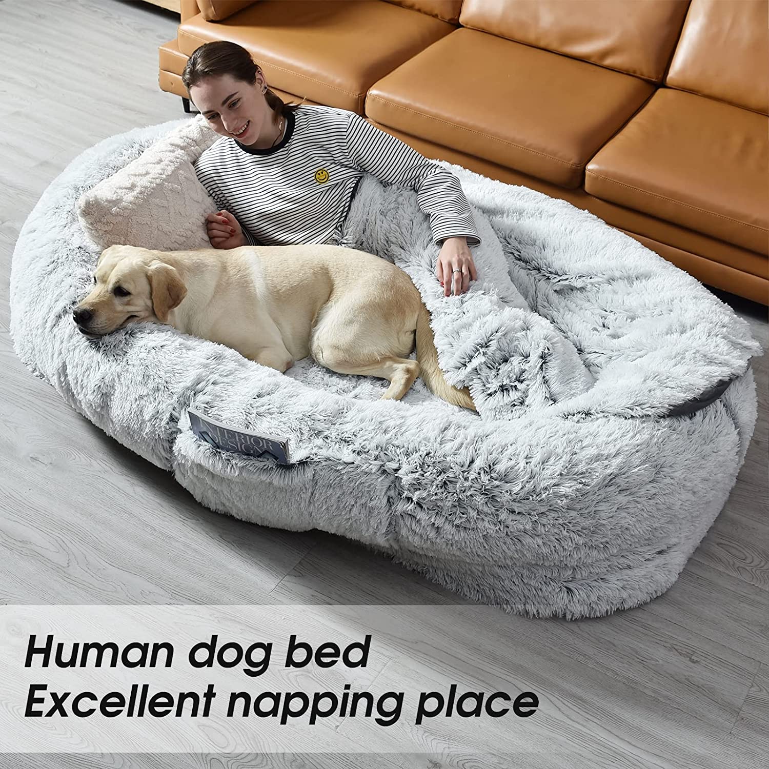 Bolster Dog Beds: The Ultimate Comfort Solution For Your Furry Friend