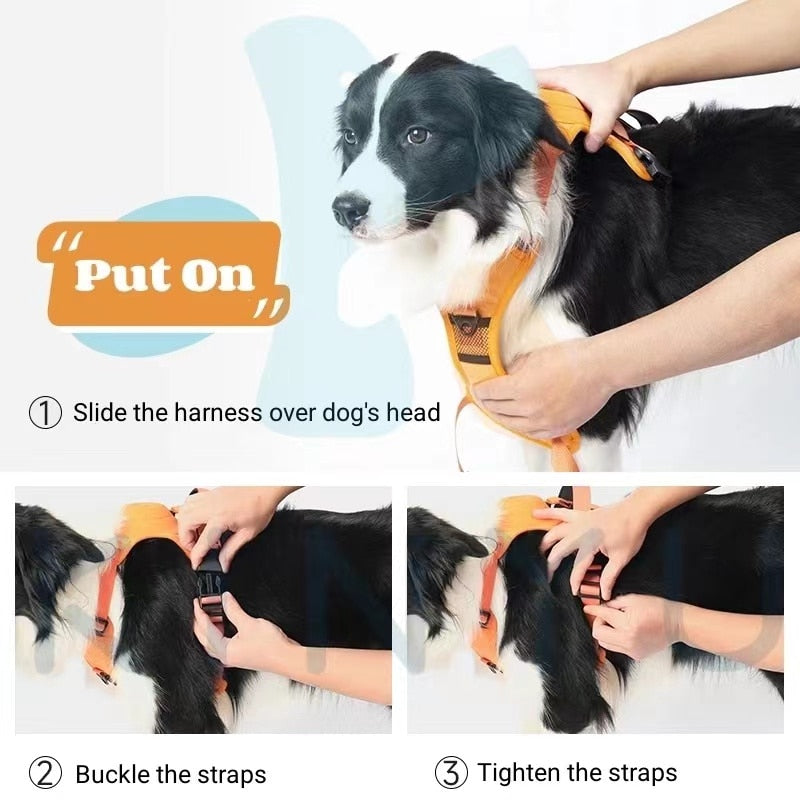 Bungee Cord Dog Leash Harness