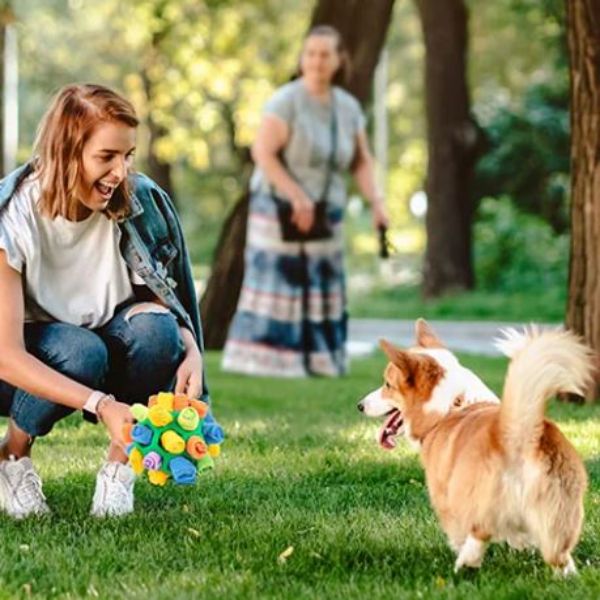 Dog Snuffle Ball Toy