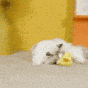 Flapping Wing Duck Cat Toy
