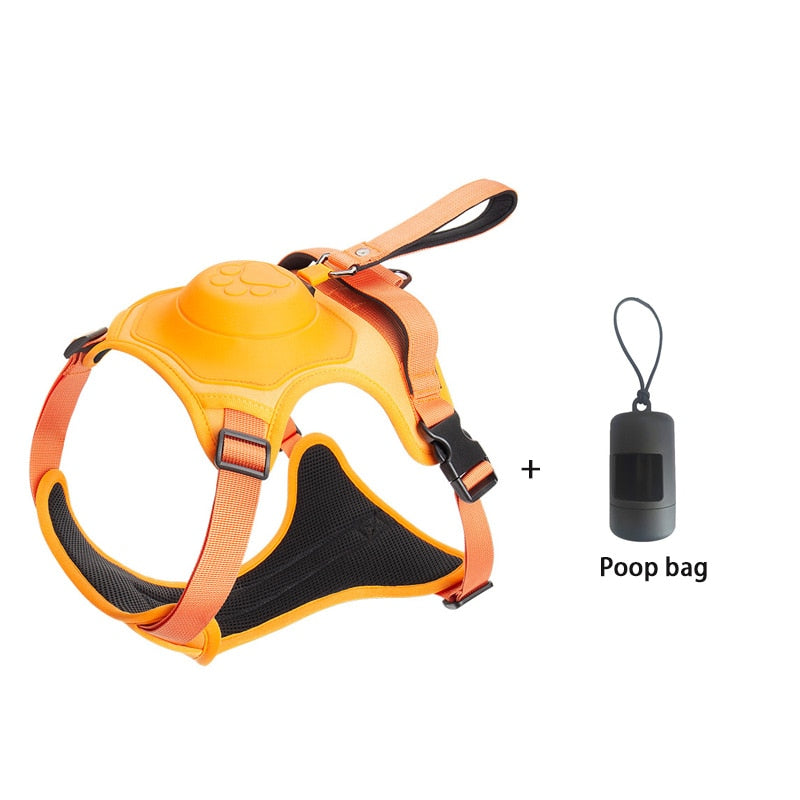 Bungee Cord Dog Leash Harness