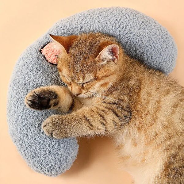 FREE Cat Calming Pillow ( GIFT)