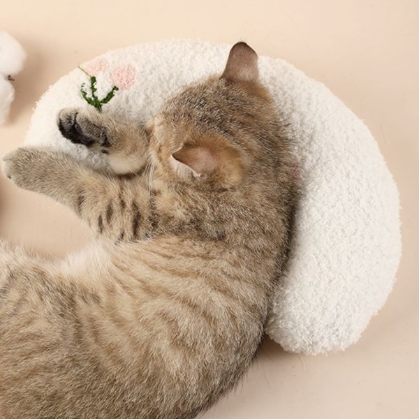 FREE Cat Calming Pillow ( GIFT)