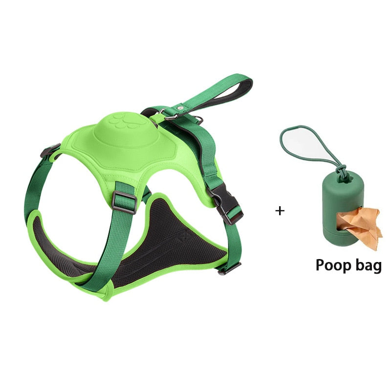 Bungee Cord Dog Leash Harness