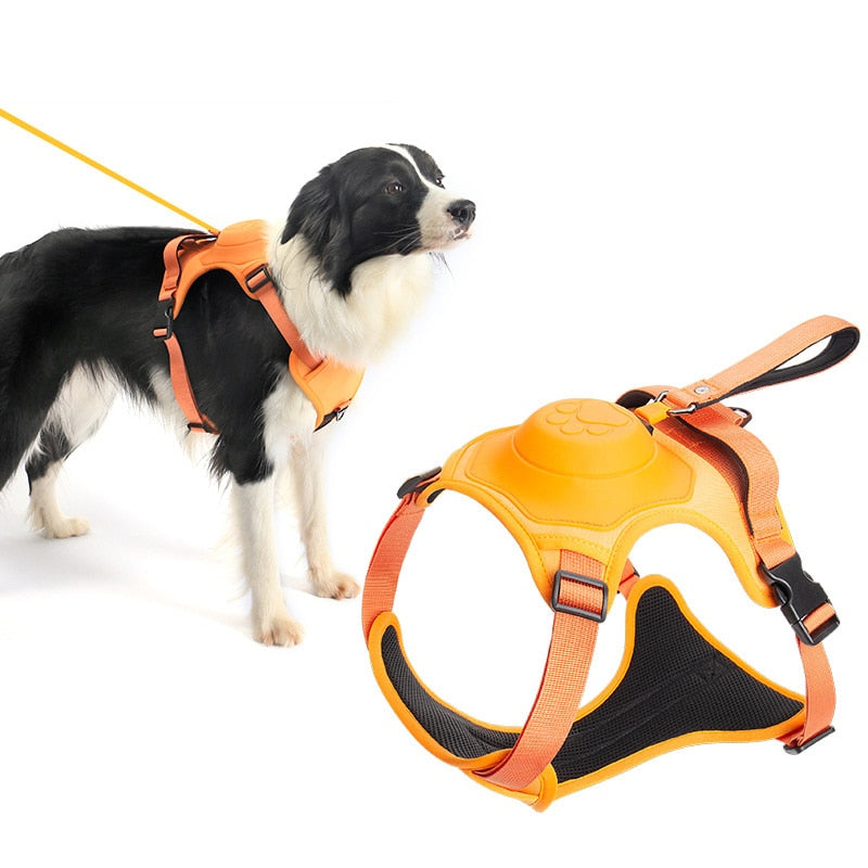 Bungee Cord Dog Leash Harness