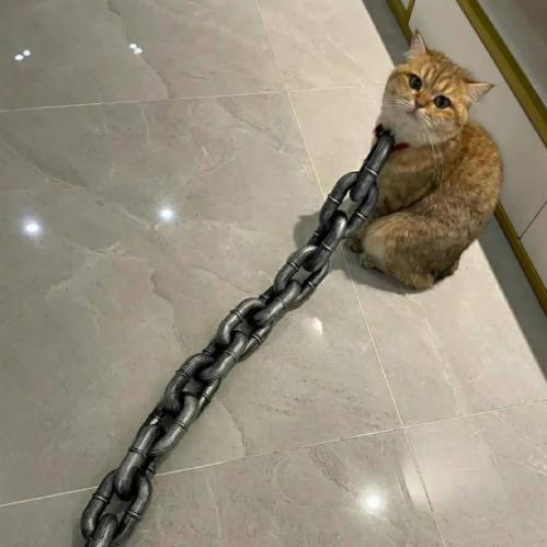 BeastChain Simulated Metal Chain Dog leash