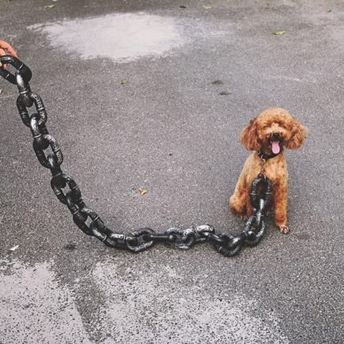 BeastChain Simulated Metal Chain Dog leash