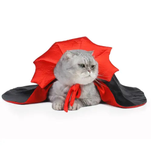 Dracula Cat Costume