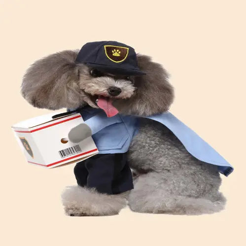 Dog Courier Costume