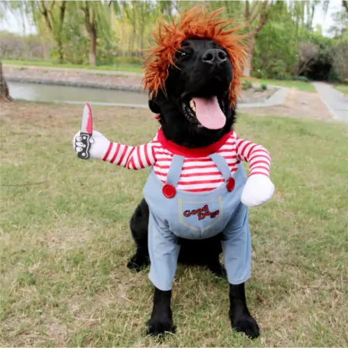 Dog/Cat Chucky Halloween Costume