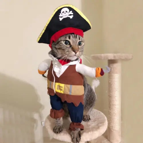 Cowboy & Pirate Cat Dog Halloween Costume