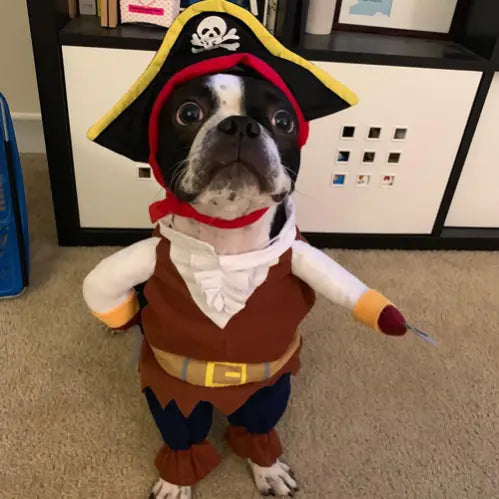 Cowboy & Pirate Cat Dog Halloween Costume