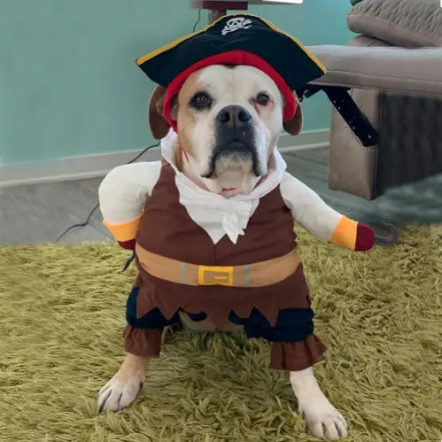 Cowboy & Pirate Cat Dog Halloween Costume