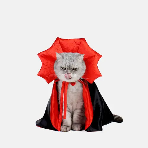 Dracula Cat Costume