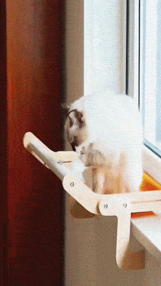 Cat Window Perch Hammock