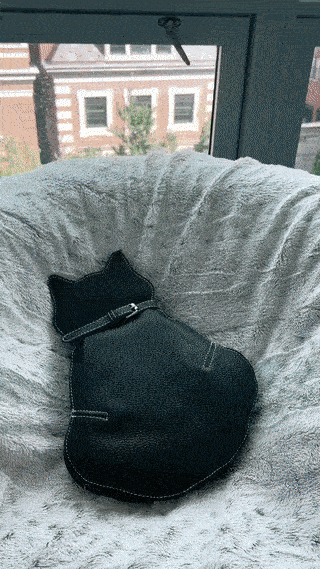 Cute Cat Chest Crossbody Bag – Barkermeow