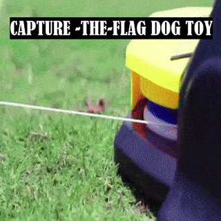 Capture The Flag Remote Control Dog Toy 