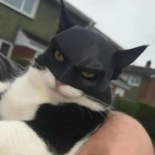 Avenger Batman Mask For Cats