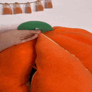 Giant Pumpkin Cat bed