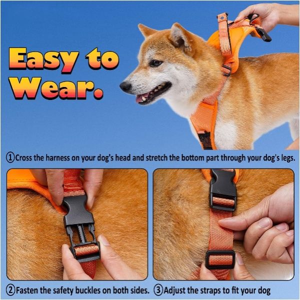 Bungee Cord Dog Leash Harness