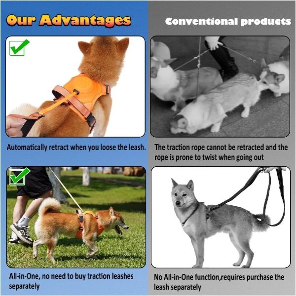 Bungee Cord Dog Leash Harness