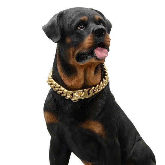 Cuban Link Gold Dog Chain – Barkermeow