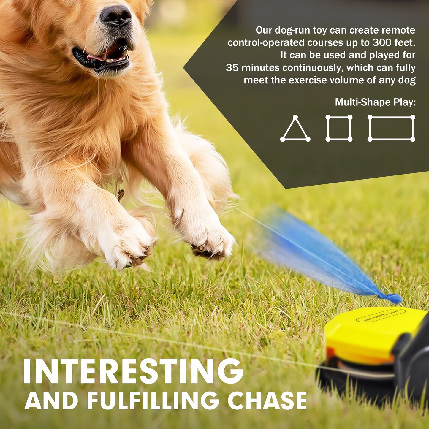 Swiftstrike Capture-The-Flag Dog Training Toy