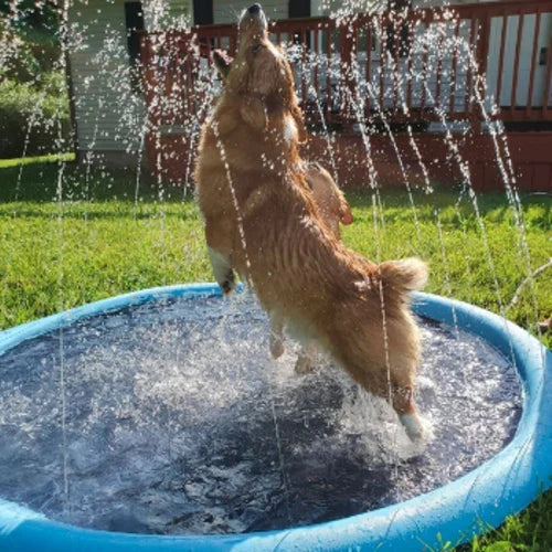 Dog Splash Sprinkler Pool (2nd generation)