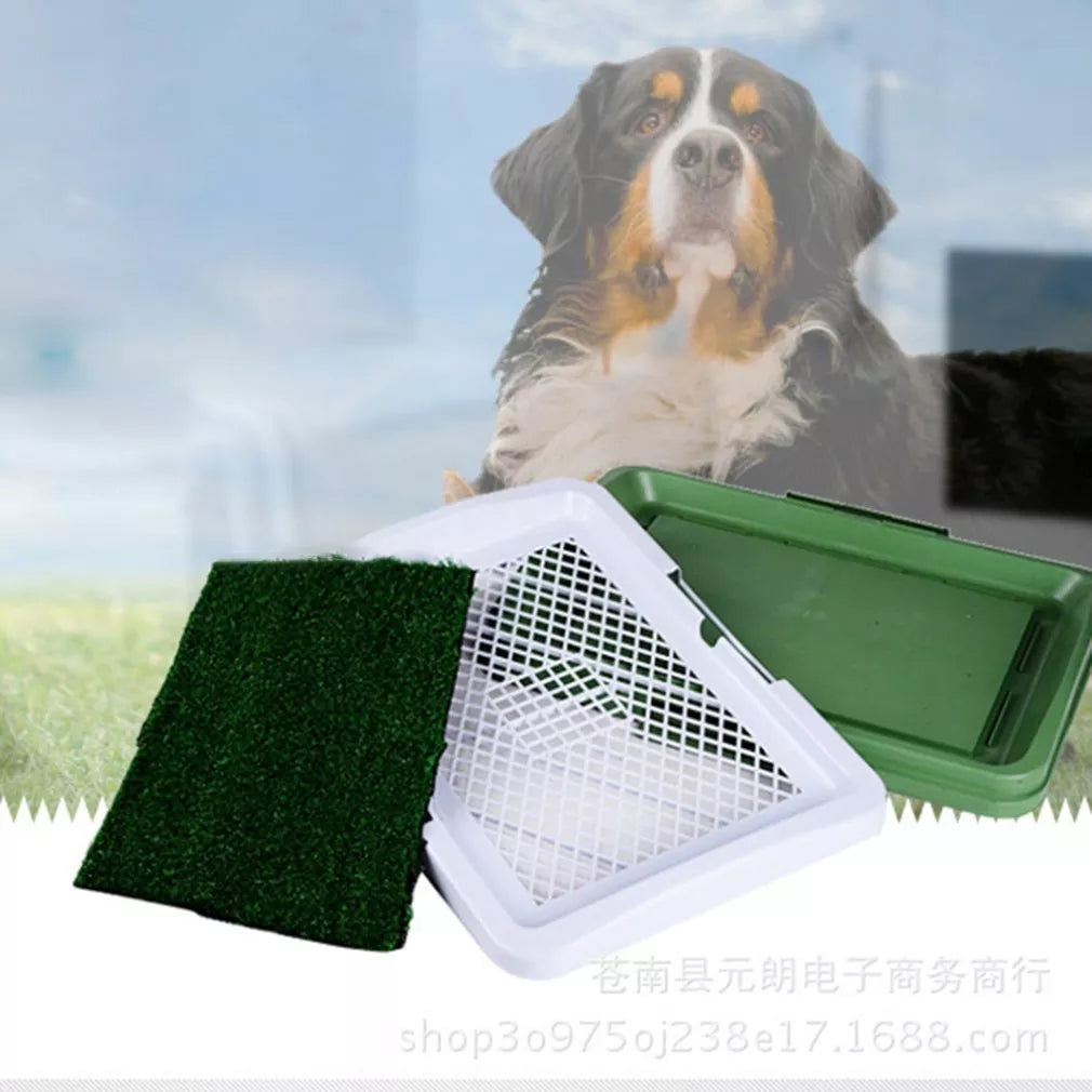 Dog Potty Training Lawn Grass