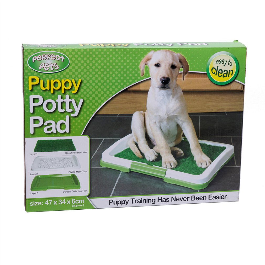 Dog Potty Training Lawn Grass