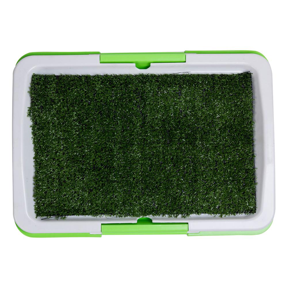 Dog Potty Training Lawn Grass