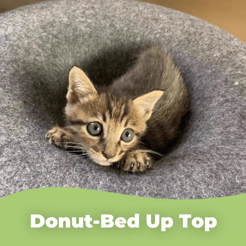 The Peek-A-Boo Cat Donut Cave Tunnel Bed