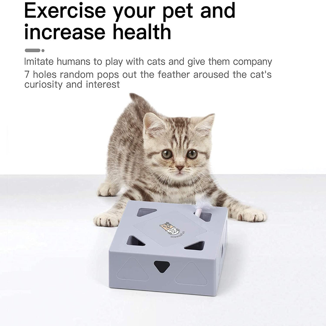 Catbox Interactive Peek-A-Boo Cat Toy
