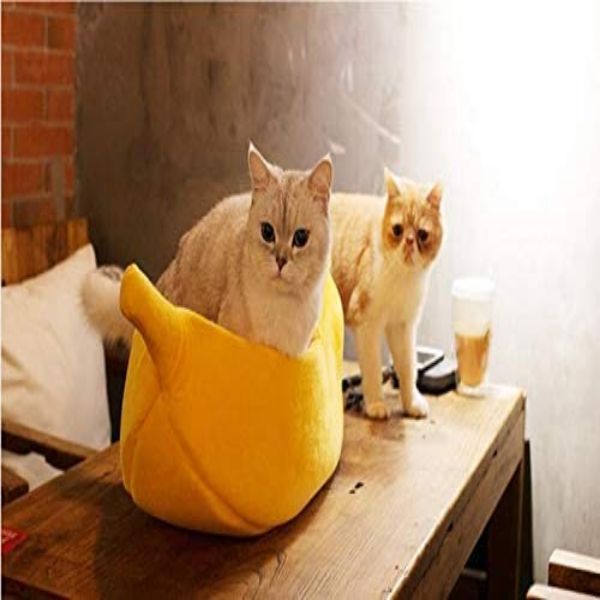 Banana Cat Bed