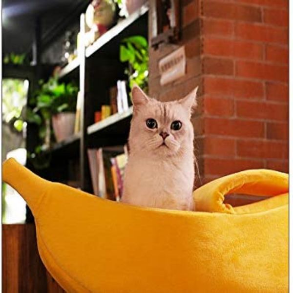 Banana Cat Bed