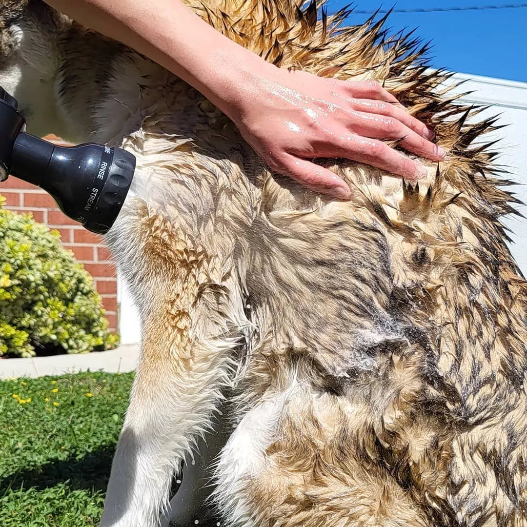 The Pup Spray Jet