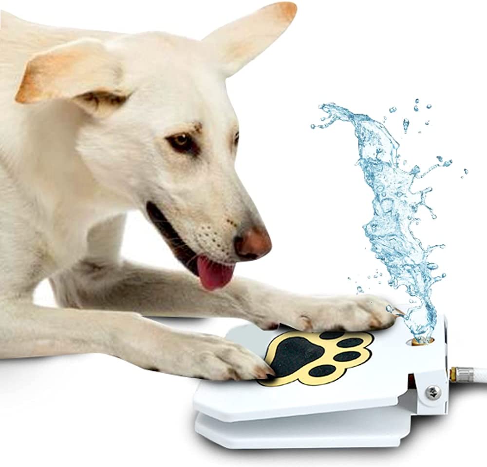 Automatic Dog Paw Water Fountain Dispenser