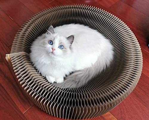 Cat Scratcher Lounger Accordion Bed