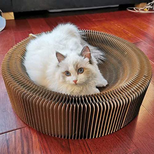 Cat Scratcher Lounger Accordion Bed