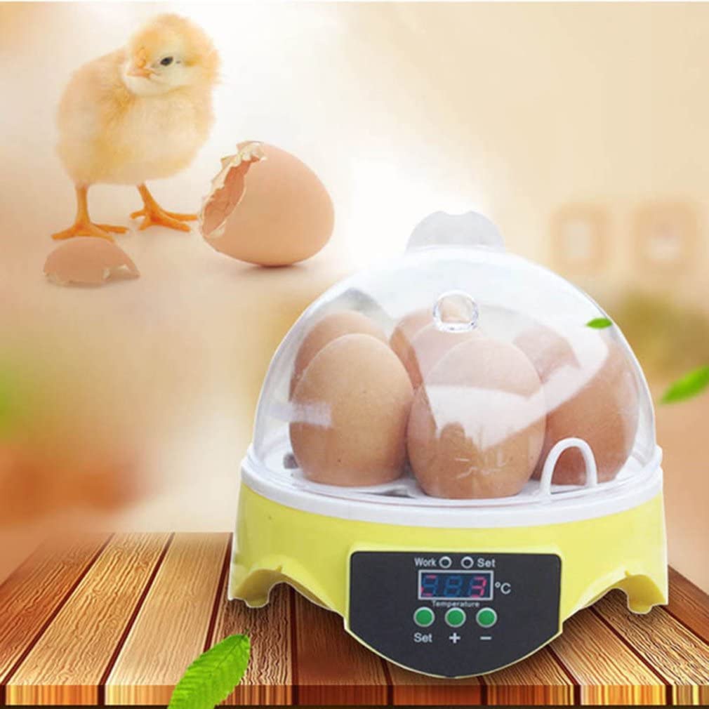 Egg Incubator