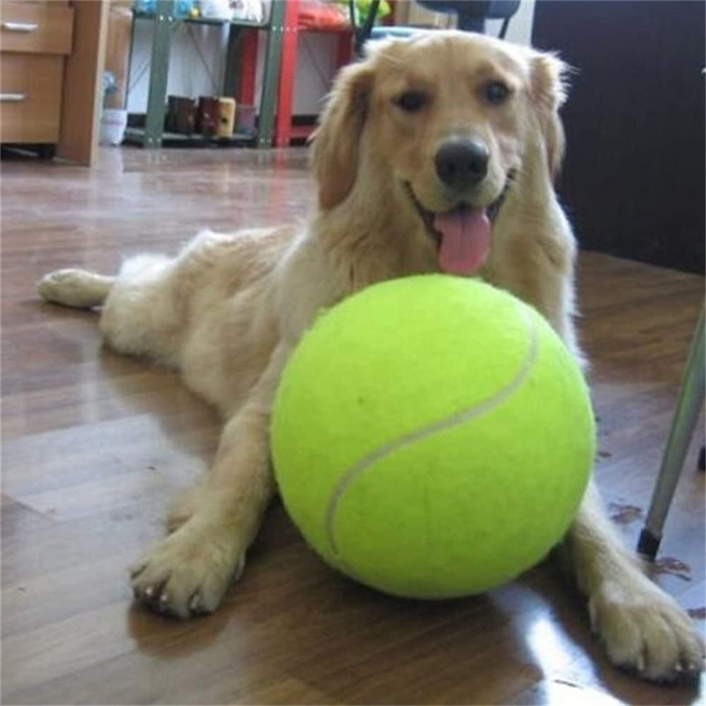 Giant Tennis Ball Dog Toy (24 cm Dia )